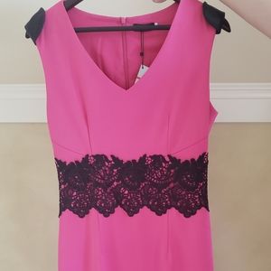 BNWT Prada Pink Dress with Lace